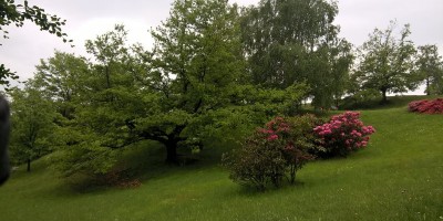 COLMA DI VERCIO 1254 m (Lago Maggiore) - 20-05-2018 ESCURSIONISMO ESTIVO 