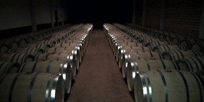 TRA I COLLI DEL NEBBIOLO: Barolo – Monforte d’Alba – Novello – Barolo  - 28-10-2018 ESCURSIONISMO ESTIVO 