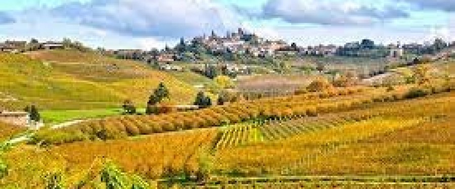 barbaresco.jfif
