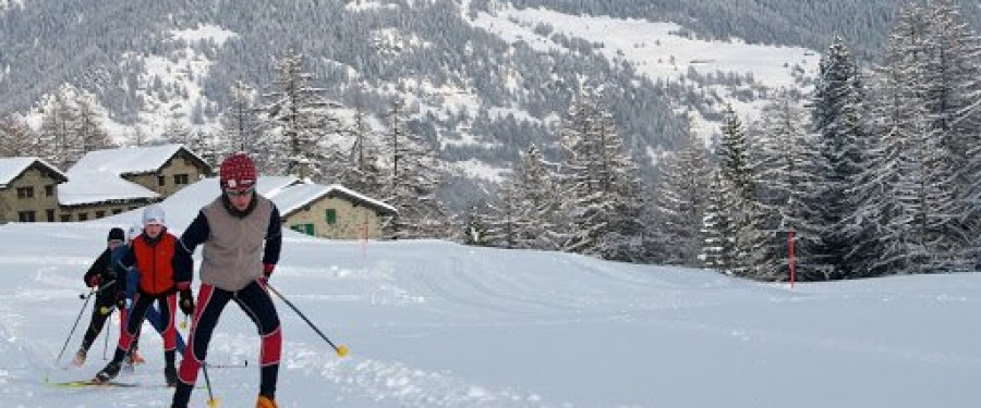 col-del-lys.jpg