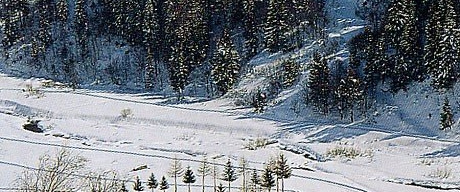 nevache-18832.jpg
