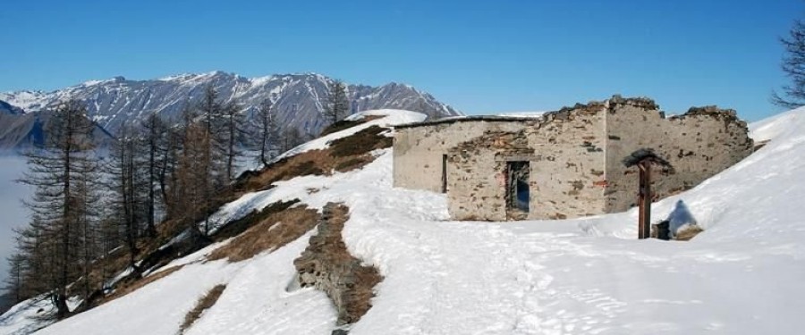 sellar-20152.jpg