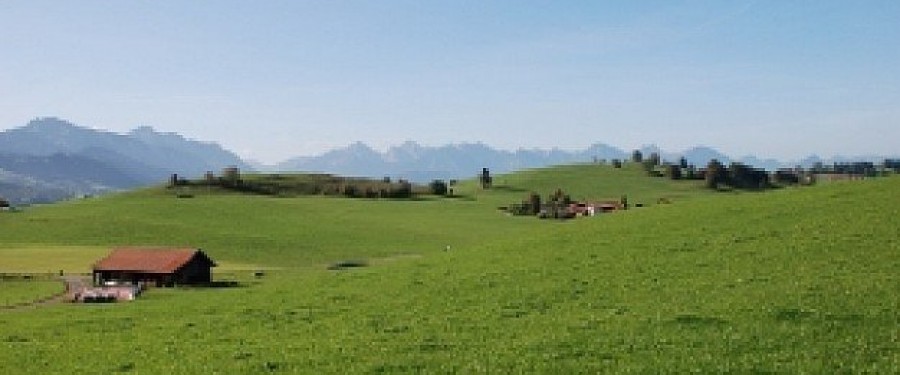 verde-delle-colline21246738.jpg