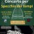 concerto.jfif